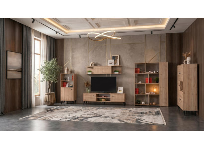 Braunes Wohnzimmer-Set TV-Möbel Vitrinenschrank Bücherregale