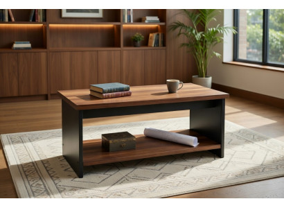 Couchtisch aus Holz  für modernes Wohnen