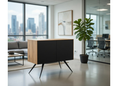 Elegantes Sideboard Holz mit Türen modern und kompakt