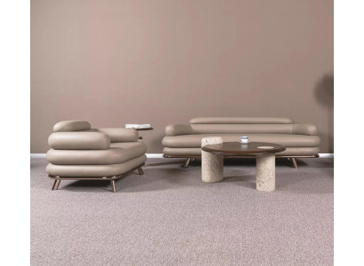 Moderne Beige Sofagarnitur Ledercouchen Couchtisch Sessel 4tlg