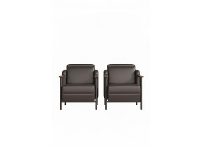 Designer 2x Ledersessel Wohnzimmer Sitzmöbel Luxus Sessel 2tlg