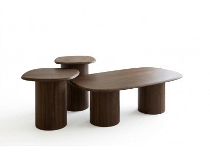 Couchtisch-Set Braune Farbe Moderner Stil Tischplatte Holz Holzbeine